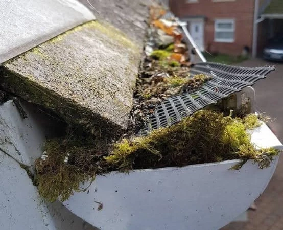 A team of skilled technicians providing essential gutter cleaning services on a residential property in Lexington, KY, effectively safeguarding the homeowner's investment.